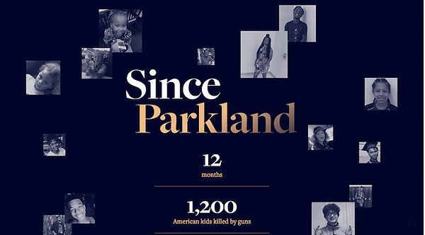 Since Parkland project overview.jpg